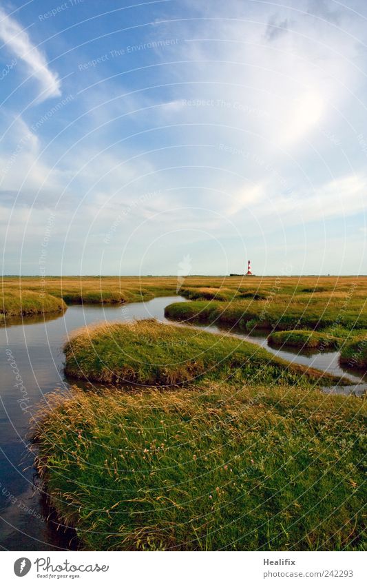 Westerhever Weite Ferien & Urlaub & Reisen Tourismus Ausflug Ferne Freiheit Sightseeing Sommer Sommerurlaub Umwelt Natur Landschaft Pflanze Himmel Wolken