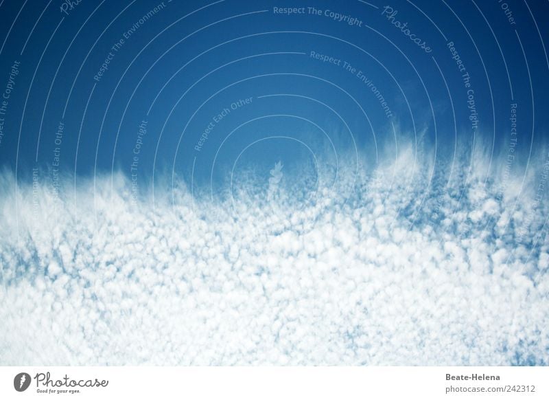 Wolkenspritzer Natur Urelemente Himmel Sommer Schönes Wetter Wasser beobachten Blick träumen außergewöhnlich blau weiß Euphorie Kraft Begeisterung einzigartig
