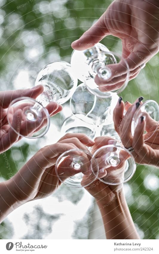 Prost! Restaurant Strandbar ausgehen Feste & Feiern Flirten trinken Geburtstag Mensch Freundschaft Leben Hand 5 Menschengruppe authentisch Flüssigkeit