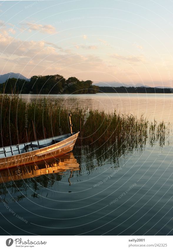 Sonnenuntergang am Chiemsee Ferien & Urlaub & Reisen Ausflug Freiheit Sommer Sommerurlaub Berge u. Gebirge Natur Landschaft Wasser Sonnenaufgang Schönes Wetter