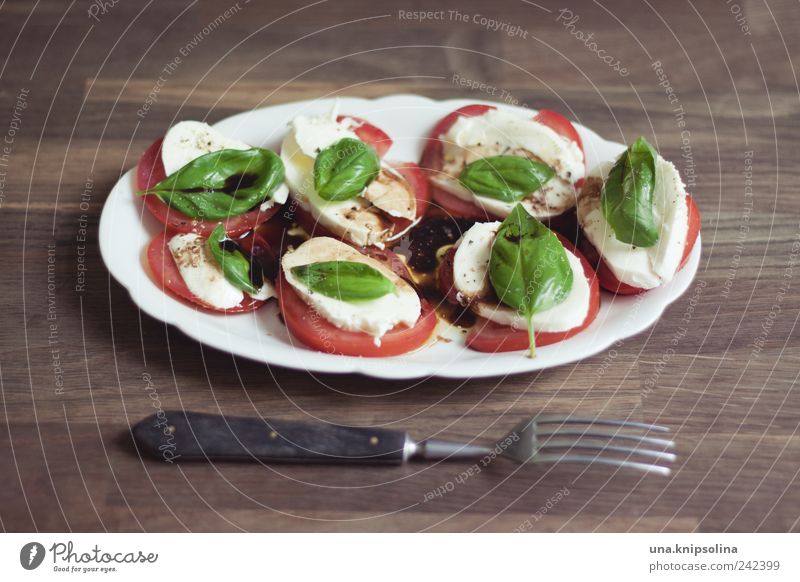 mahlzeit Lebensmittel Käse Milcherzeugnisse Gemüse Kräuter & Gewürze Öl Tomate Basilikum Mozzarella Ernährung Mittagessen Abendessen Bioprodukte