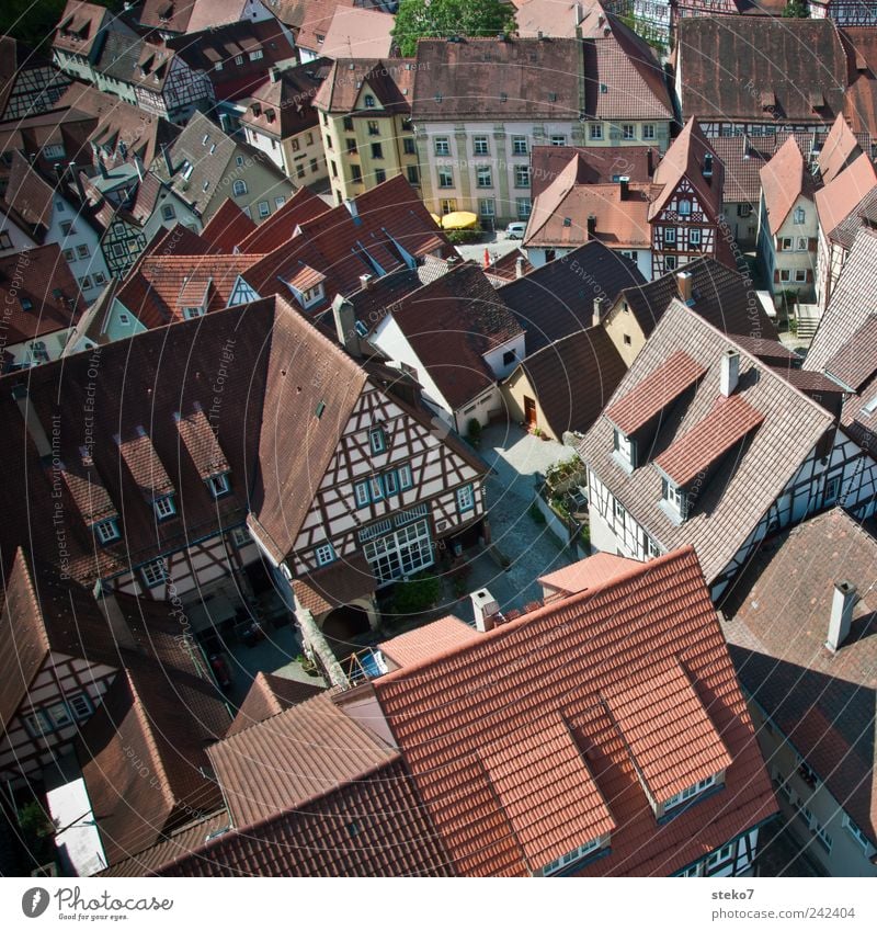 Downtown Dorf Stadtzentrum Platz Dach rot Fachwerkhaus Sommertag Bad Wimpfen Rheinland-Pfalz Mittelalter Farbfoto Außenaufnahme Vogelperspektive