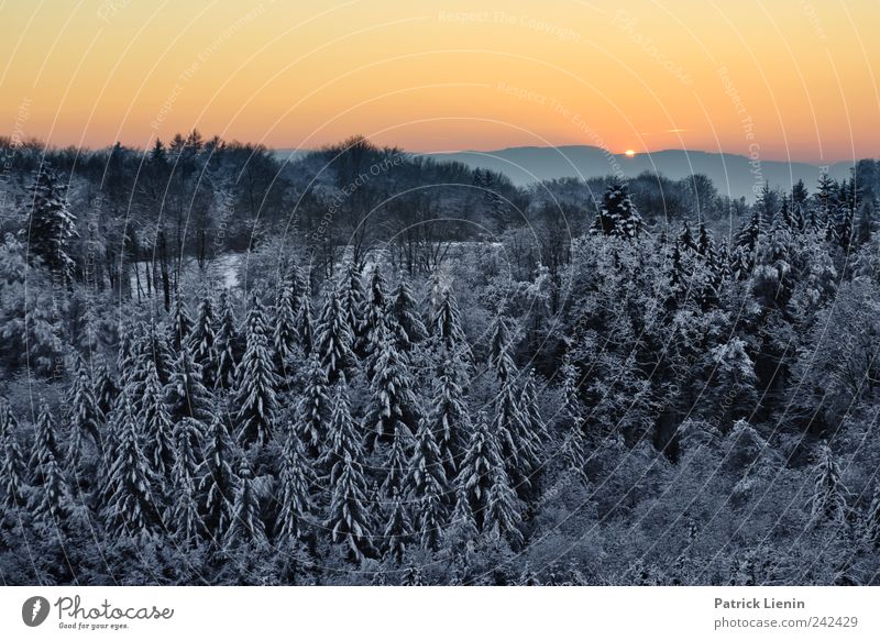 Wenn jetzt Winter wär Sonne Schnee Umwelt Natur Landschaft Urelemente Himmel Wolkenloser Himmel Sonnenaufgang Sonnenuntergang Sonnenlicht Wetter Schönes Wetter