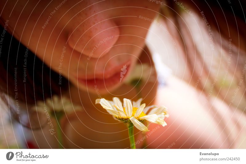 Blumenromanze Mensch feminin Mädchen Junge Frau Jugendliche Kindheit Haut Kopf Haare & Frisuren Nase Mund Lippen 1 13-18 Jahre Natur Pflanze Sommer