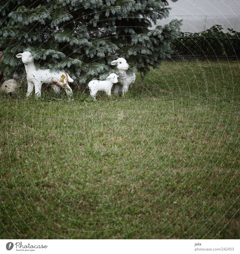 familie Natur Baum Gras Garten Wiese Tier Schaf 3 Tierfamilie Figur Kitsch grau grün weiß Farbfoto Außenaufnahme Menschenleer Textfreiraum unten