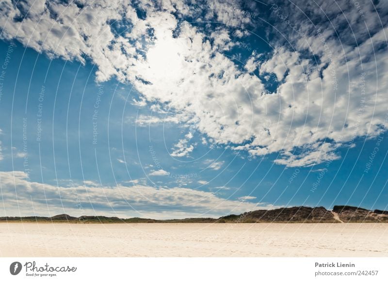 Auf der Flucht Freizeit & Hobby Ferien & Urlaub & Reisen Ausflug Freiheit Umwelt Natur Landschaft Pflanze Urelemente Himmel Wolken Sonne Sonnenlicht Sommer