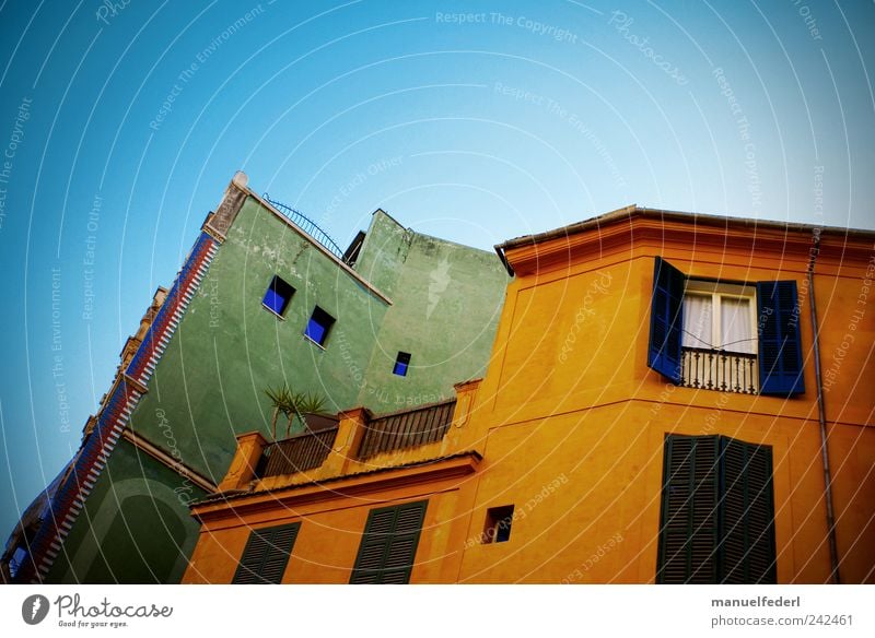 colorful living I Himmel Sommer Pflanze Palme Stadt Hauptstadt Stadtzentrum Haus Bauwerk Gebäude Architektur Fensterladen Dachterrasse Mauer Wand Fassade Balkon