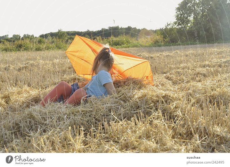 gegenlichtstrohmädchenfoto Mädchen Kindheit Haare & Frisuren 1 Mensch 8-13 Jahre Natur Landschaft Himmel Sommer Schönes Wetter Feld sitzen Freude Klima