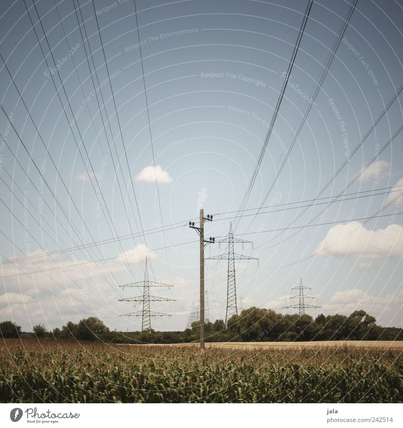 strom Umwelt Natur Landschaft Pflanze Himmel Wolken Sommer Feld Elektrizität Strommast Unendlichkeit Farbfoto Außenaufnahme Menschenleer Hintergrund neutral Tag