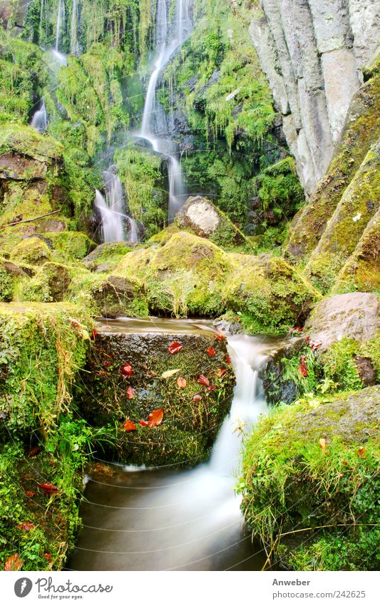 Wasserfall im Herbst Umwelt Natur Landschaft Pflanze Urelemente Wassertropfen Garten Park Bach Kassel Bad Wilhelmshöhe Hessen Bergpark Wilhelmshöhe Deutschland