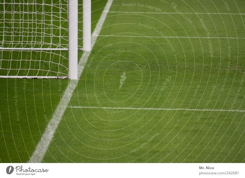 "Nicht so lange wie du." Sport Ballsport Torwart Sportstätten Fußballplatz Stadion Gras Wiese grün Fußballtor Linie Netz Seitenlinie Strafraum Weltmeisterschaft