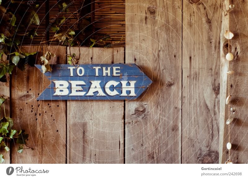 To the beach Holz Schriftzeichen Schilder & Markierungen Hinweisschild Warnschild retro Holzstruktur Holzschild Muschel Farbfoto Außenaufnahme