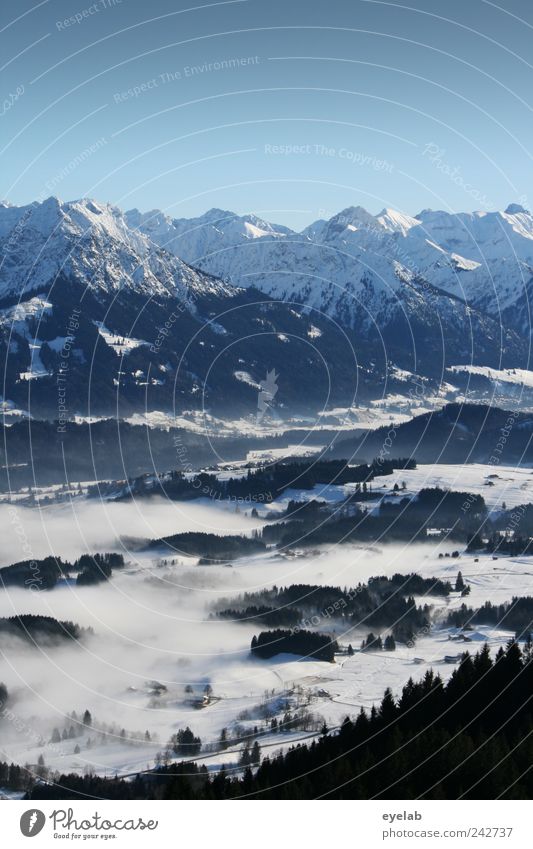 Ein Sommermärchen ? Umwelt Natur Landschaft Erde Himmel Wolkenloser Himmel Winter Klima Klimawandel Wetter Schönes Wetter Nebel Schnee Baum Wald Hügel Felsen