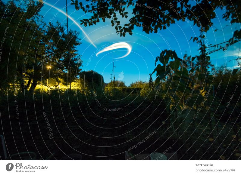 UFO im Gärtchen Erholung Freizeit & Hobby Spielen Häusliches Leben Wohnung Garten Natur Landschaft Pflanze Sommer Nordlicht Baum Blume Gras Sträucher Wachstum