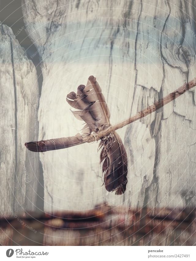 free me Urelemente Luft Wind Vogel ästhetisch frei natürlich retro blau braun Windrad Windfahne Feder Strandgut Holz Doppelbelichtung Natur Zeichen Indianer