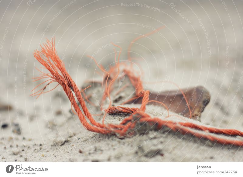 da biss die Maus doch den Faden ab Umwelt Natur Sand Strand Schnur liegen alt kaputt Umweltverschmutzung Strandgut Müll Seil finden Fundstück orange Rest