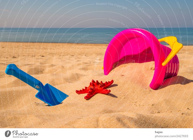 Sandeleimer mit Schaufel und Seestern am Strand Freude Erholung Freizeit & Hobby Spielen Ferien & Urlaub & Reisen Sommer Kind heiß hell blau gelb rosa rot Meer