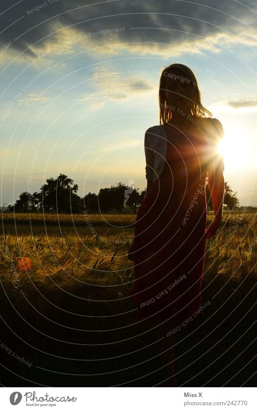 Sonnenlicht Mensch feminin Junge Frau Jugendliche 1 18-30 Jahre Erwachsene Natur Landschaft Himmel Wolken Sommer Schönes Wetter Baum Feld Kleid Haare & Frisuren