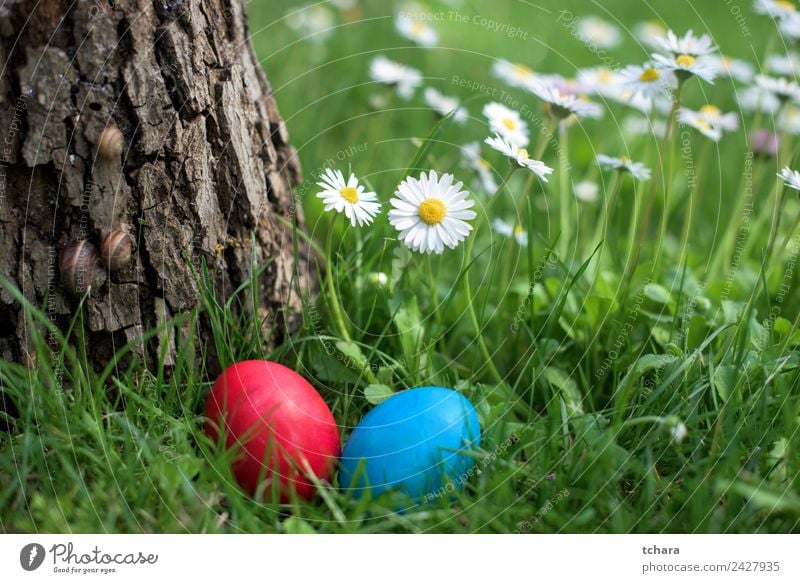 Osterjagd Freude Glück Spielen Jagd Garten Dekoration & Verzierung Feste & Feiern Ostern Hand Natur Baum Blume Gras Park Wiese frisch blau grün weiß