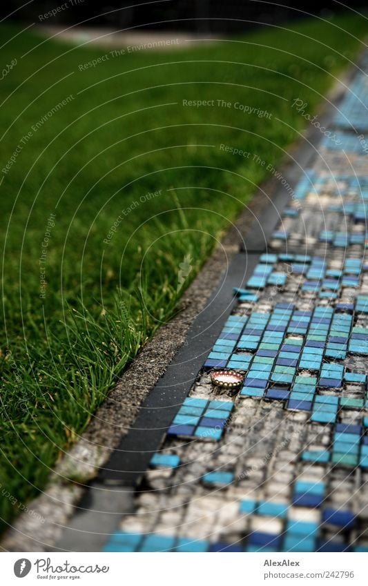 auf Kante Umwelt Pflanze Park Wiese blau mehrfarbig grün Langeweile Einsamkeit Alkoholsucht Umweltverschmutzung Gras Bierdeckel Fliesen u. Kacheln Lücken