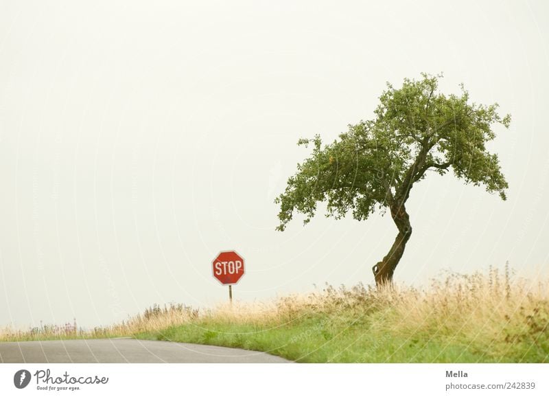 Bis hierher und nicht weiter Umwelt Landschaft Baum Wiese Verkehrswege Straße Zeichen Schilder & Markierungen Hinweisschild Warnschild Einsamkeit ruhig leer