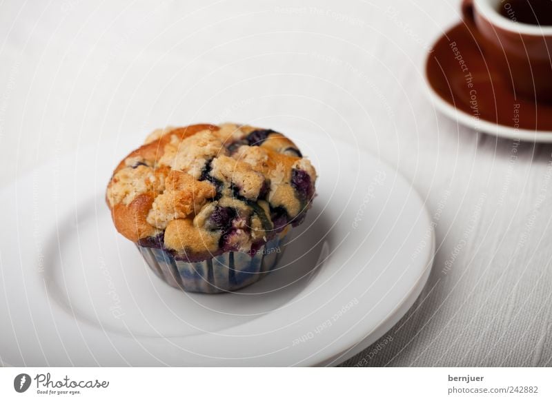 Autonomiebestreben Lebensmittel Teigwaren Backwaren Frühstück Kaffee Teller Tasse Billig klein braun weiß Muffin Einsamkeit 1 Espresso Snack Blaubeeren