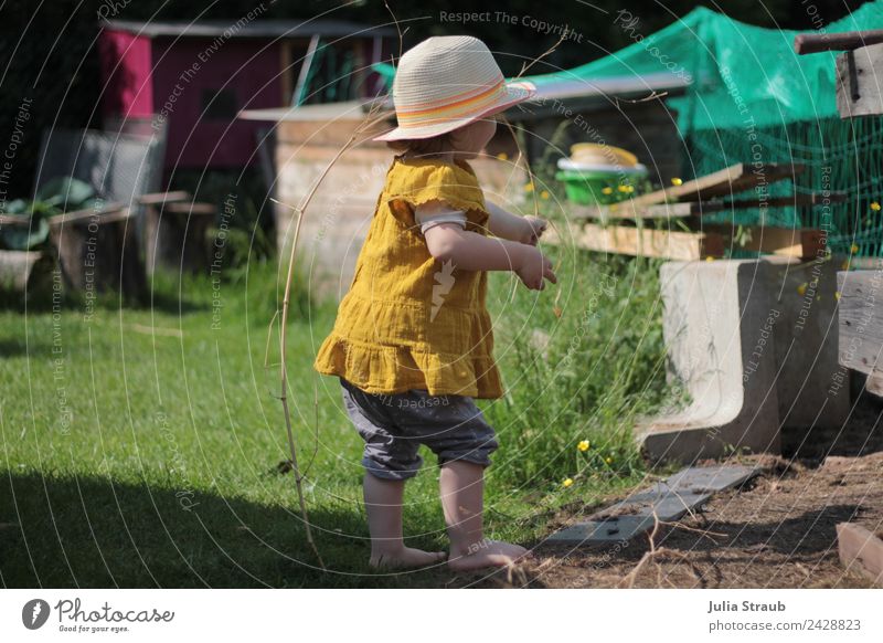 Garten Öko Kleinkind grün hut feminin Mädchen 1 Mensch 1-3 Jahre Sommer Schönes Wetter Gras Grünpflanze Nutzpflanze beobachten stehen authentisch natürlich