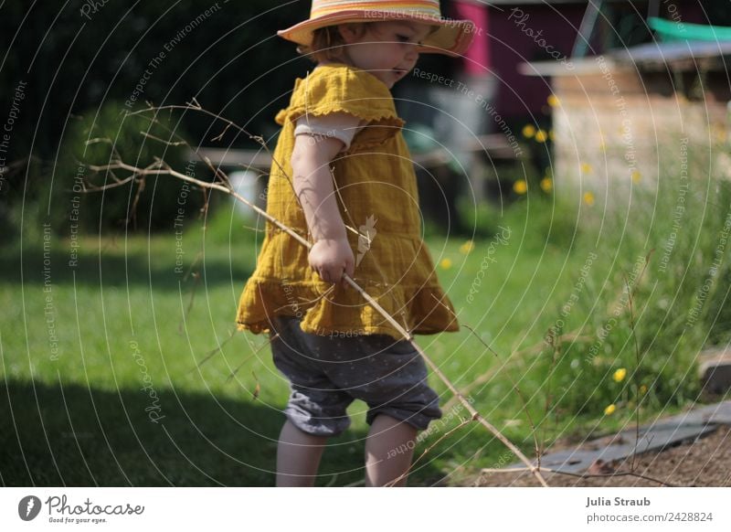 Garten Mädchen Wiese feminin Kleinkind 1 Mensch 1-3 Jahre Ast Bambusrohr Hose Kleid Hut beobachten berühren Bewegung natürlich Neugier niedlich gelb grün