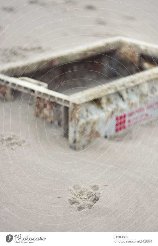 In die Kiste gesprungen? Umwelt Natur Sand Küste Strand Fährte Kasten alt dreckig kaputt Gefühle Strandgut Fundstück Abdruck Spuren Farbfoto Gedeckte Farben