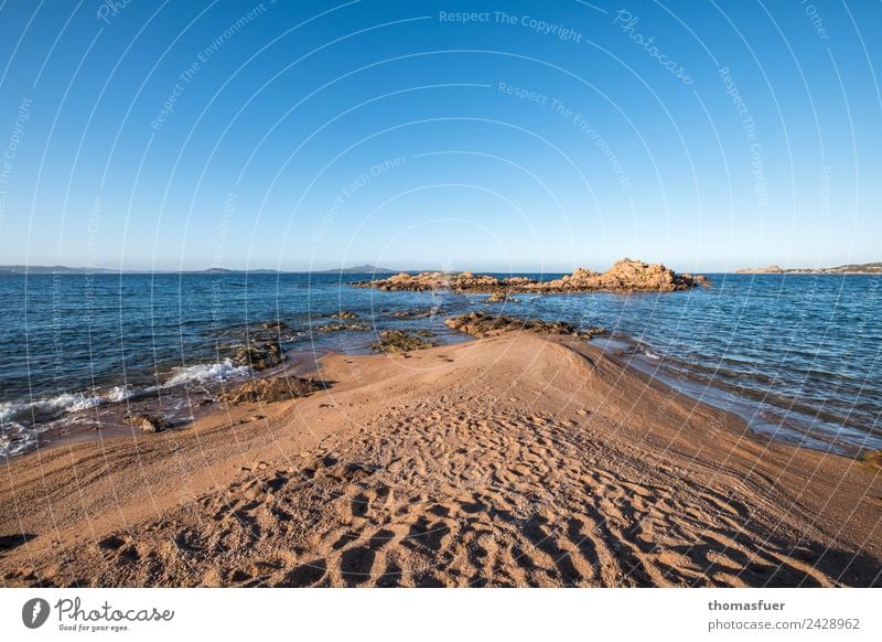 Landzunge Sardinien (Nord), Meer Ferien & Urlaub & Reisen Tourismus Ausflug Freiheit Sommer Sommerurlaub Sonne Strand Insel Wellen Landschaft Wolkenloser Himmel