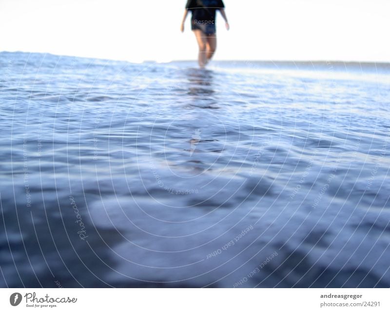 Strandperspektive I Meer Mann Ferien & Urlaub & Reisen Stil Lifestyle Stimmung Perspektive Wasser Andreas Gregor Anschnitt