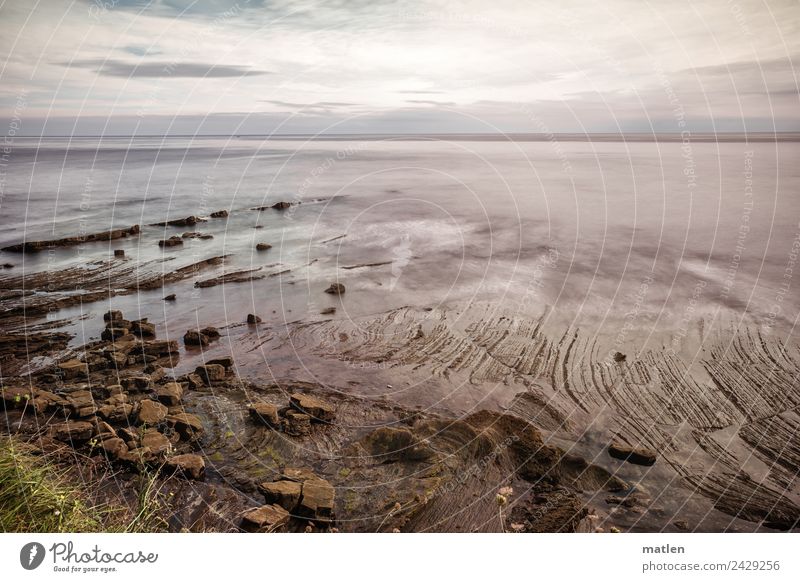 Ebbe Natur Landschaft Luft Wasser Himmel Wolken Horizont Sommer Schönes Wetter Gras Felsen Küste Strand Meer maritim braun grau grün violett Flysch Farbfoto