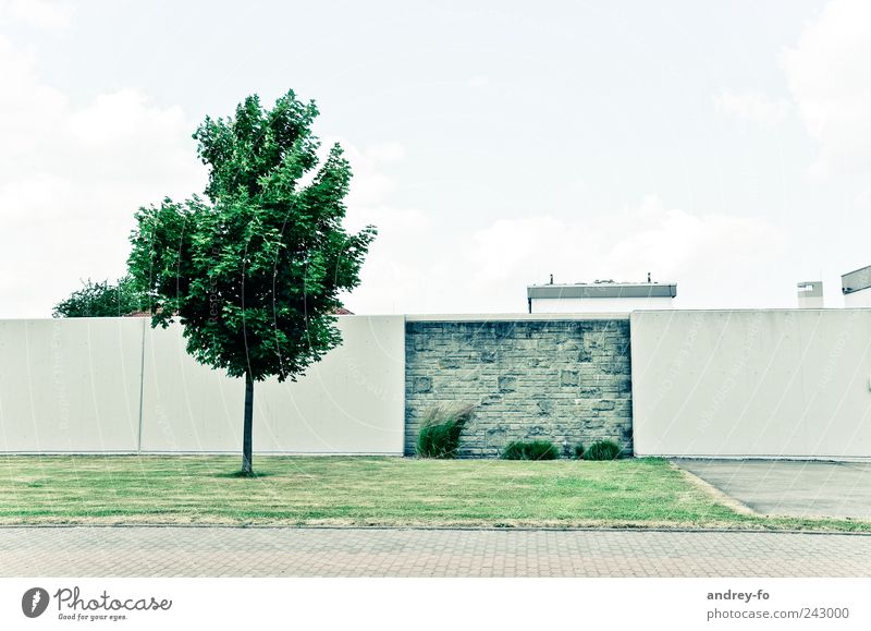 Minimalistisch. Wiese Bauwerk Architektur Mauer Wand Straße Stein modern Sauberkeit grün Zufriedenheit Baum Rasen Fußgängerzone Himmel Betonwand Geometrie