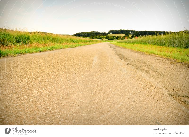 Der Weg. Natur Himmel Straße Optimismus Perspektive Wege & Pfade Asphalt Aussicht gelb Panorama (Aussicht) Feld Landstraße Dorf Stadtrand leer Einsamkeit