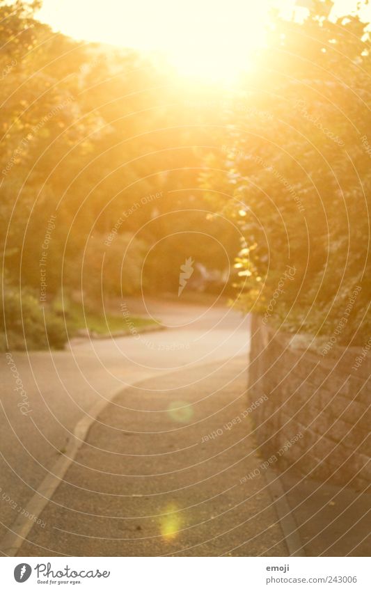 Sommerabend Dorf Mauer Wand Wärme gelb Blendenfleck Blendeneffekt Straße Bürgersteig Sträucher hell Farbfoto Außenaufnahme Menschenleer Morgen Abend Licht