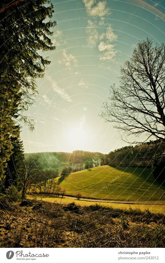 Hinter den sieben/siegener Bergen Ausflug Ferne Sommer Umwelt Natur Landschaft Sonnenaufgang Sonnenuntergang Sonnenlicht Wiese Wald Hügel Straße Wege & Pfade