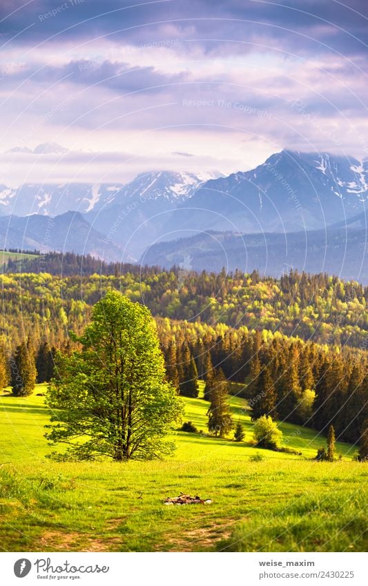 Inspirierendes Abendlicht im Frühjahr. Sonnenuntergang in den Bergen schön Ferien & Urlaub & Reisen Tourismus Sommer Berge u. Gebirge Natur Landschaft Himmel