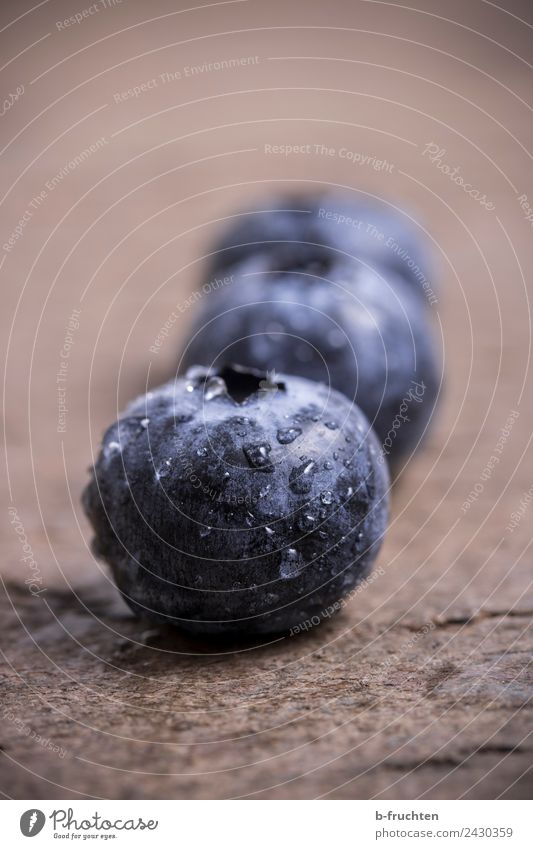 Drei Heidelbeeren Lebensmittel Frucht Bioprodukte Gesundheit Essen frisch lecker rund blau schwarz Blaubeeren Reihe viele Wassertropfen Ernte reif Vitamin Holz