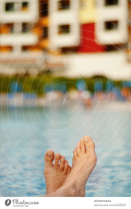 Sommerzeit Lifestyle Ferien & Urlaub & Reisen Sommerurlaub Sonnenbad Finger Fuß 1 Mensch Wasser Gefühle Freude Glück Fröhlichkeit Kraft Macht Mut Tatkraft