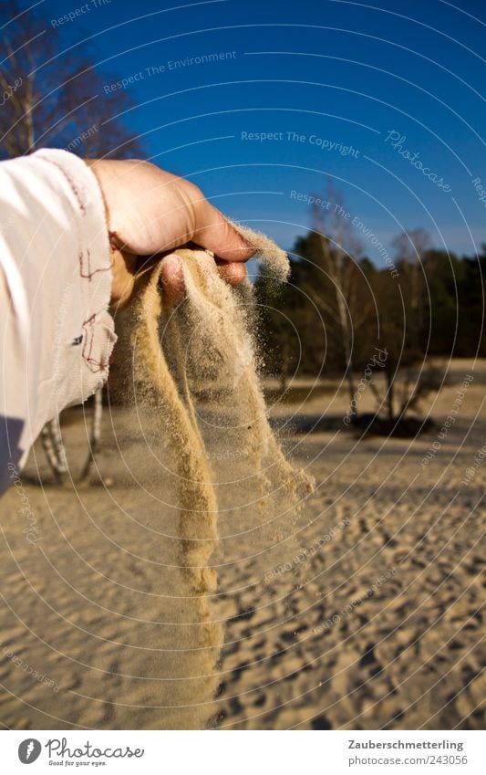 wie gewonnen... Ferien & Urlaub & Reisen Abenteuer Hand Landschaft Sand Himmel Dürre Baum Wüste heiß trocken weich geduldig Hoffnung Durst unbeständig