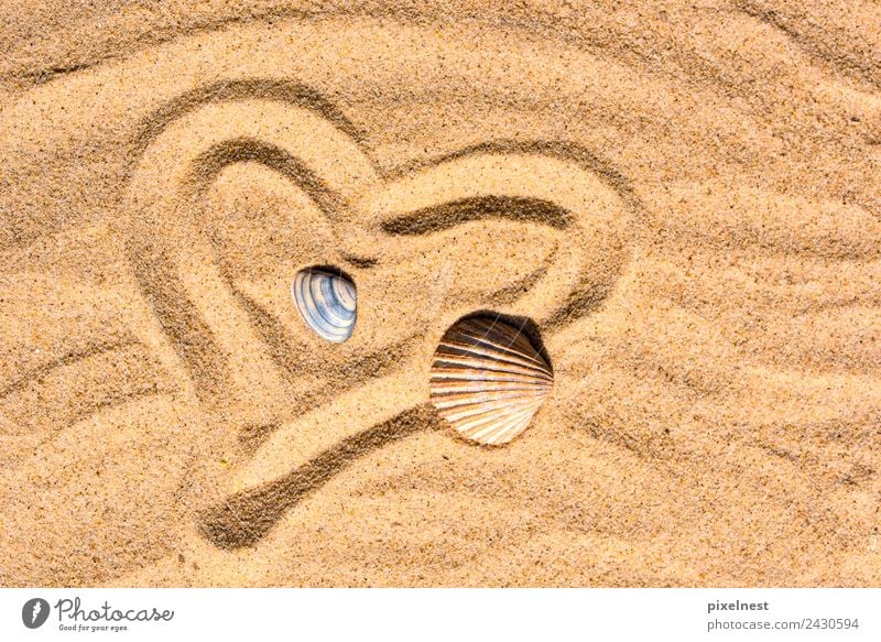 Heart in the Sand Freude Sommer Sommerurlaub Strand Wärme Muschel Zeichen Herz Erholung Liebe maritim Gefühle Freizeit & Hobby Freundschaft