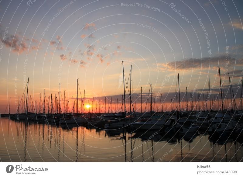 Jachthafen Himmel Sonnenaufgang Sonnenuntergang Sonnenlicht Ostsee Kühlungsborn Hafenstadt Menschenleer Segelboot Segelschiff Romantik Farbfoto Außenaufnahme