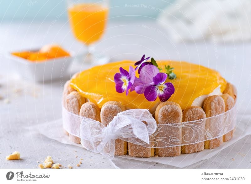 Maracuja-Pfirsich-Torte Kuchen backen orange Sommer Erfrischung Backwaren Dessert löffelbiskuit süß Konditorei konfiserie lecker rezept Lebensmittel