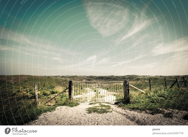 Heute geschlossen Umwelt Landschaft Himmel Wolken Horizont Sommer Schönes Wetter Gras Wiese Hügel Menschenleer groß trist blau braun grün ruhig Idylle