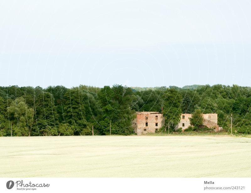 Schöner Wohnen Umwelt Landschaft Feld Wald Haus Ruine Gebäude alt kaputt Vergänglichkeit Wandel & Veränderung Zerstörung Verfall verfallen Farbfoto