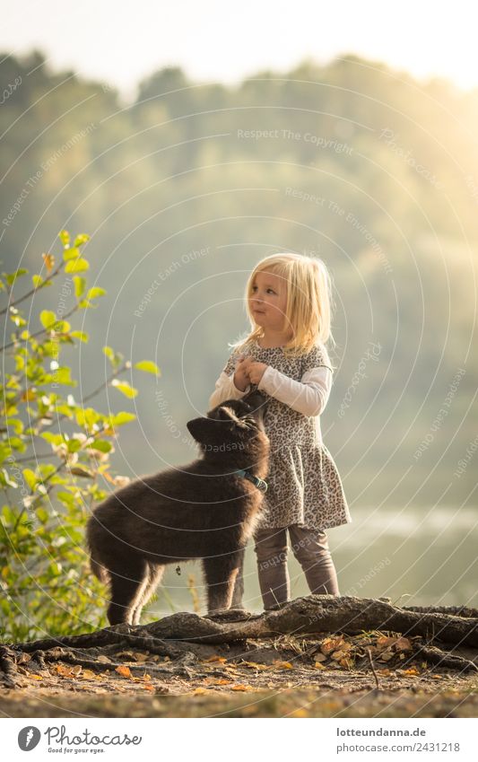 Mädchen mit Welpe am See Haustier Hund Husky 1 Tier Tierjunges füttern genießen stehen Zusammensein Glück niedlich Tierliebe Treue Farbfoto Außenaufnahme