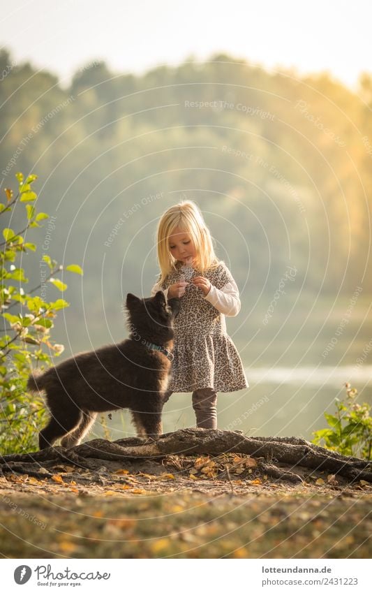 Mädchen mit Hund am See feminin Kleinkind Körper 1 Mensch 3-8 Jahre Kind Kindheit Wasser Sonne Sonnenaufgang Sonnenuntergang Sonnenlicht Sommer Schönes Wetter