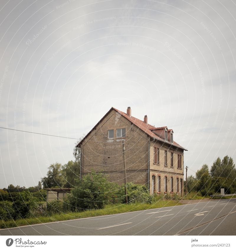 irgendwo dazwischen Natur Himmel Pflanze Baum Sträucher Grünpflanze Haus Einfamilienhaus Bauwerk Gebäude Architektur Mauer Wand Fassade Straße trist Farbfoto