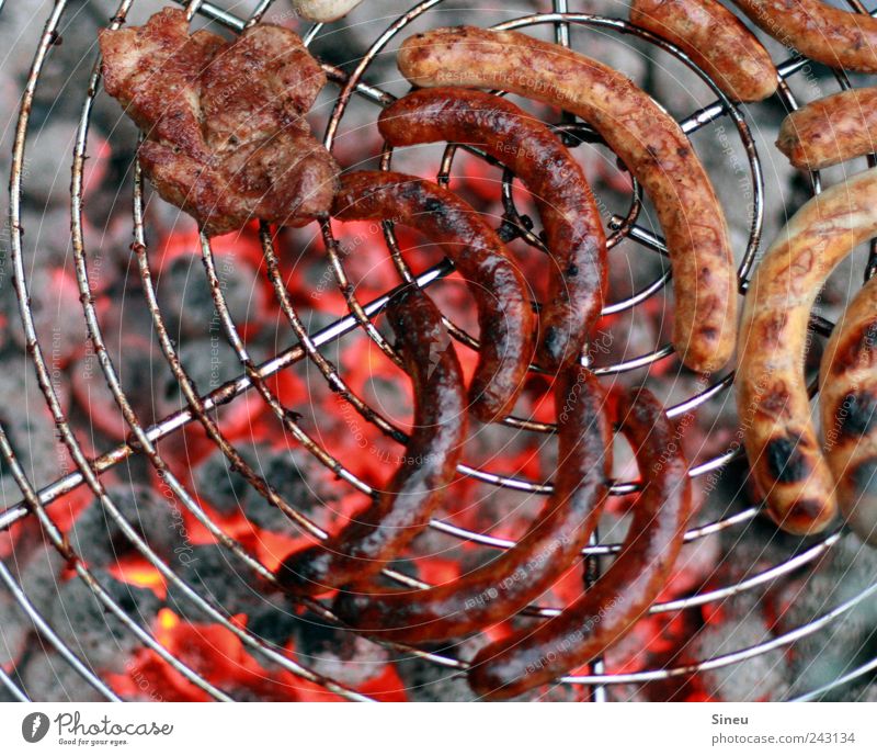 Armes Würstchen! Fleisch Wurstwaren Ernährung Mittagessen Abendessen Grill Grillen Grillrost Grillkohle Grillsaison Sommer Schönes Wetter Kohle Glut Duft heiß