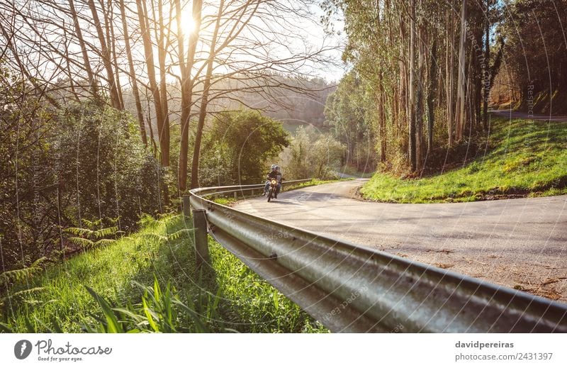 Seniorenpaar mit Motorrad entlang der Forststraße Lifestyle Freizeit & Hobby Ferien & Urlaub & Reisen Tourismus Ausflug Abenteuer Freiheit Paar Erwachsene Natur